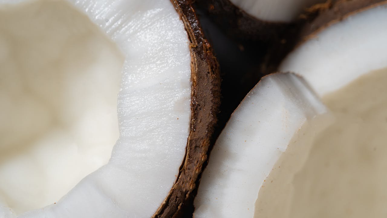 A detailed close-up of fresh coconut shells showcasing their natural texture.